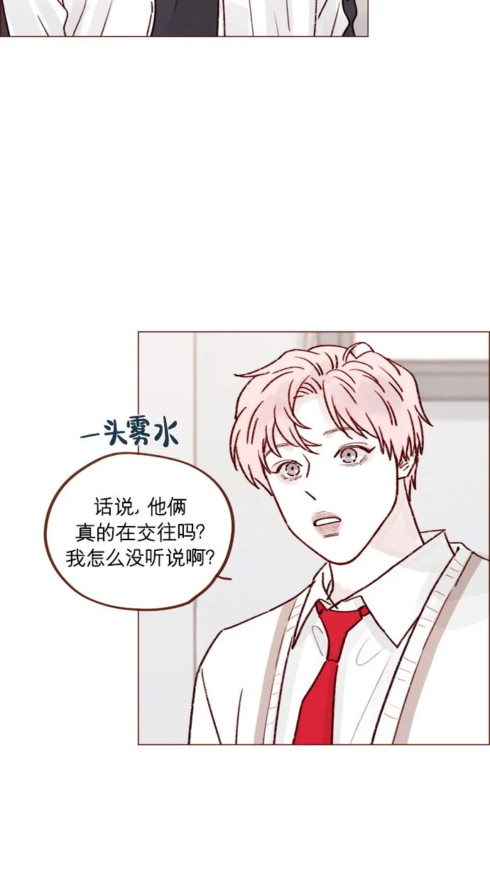 [第219话] 最喜欢别人骂彗星了 第31页
