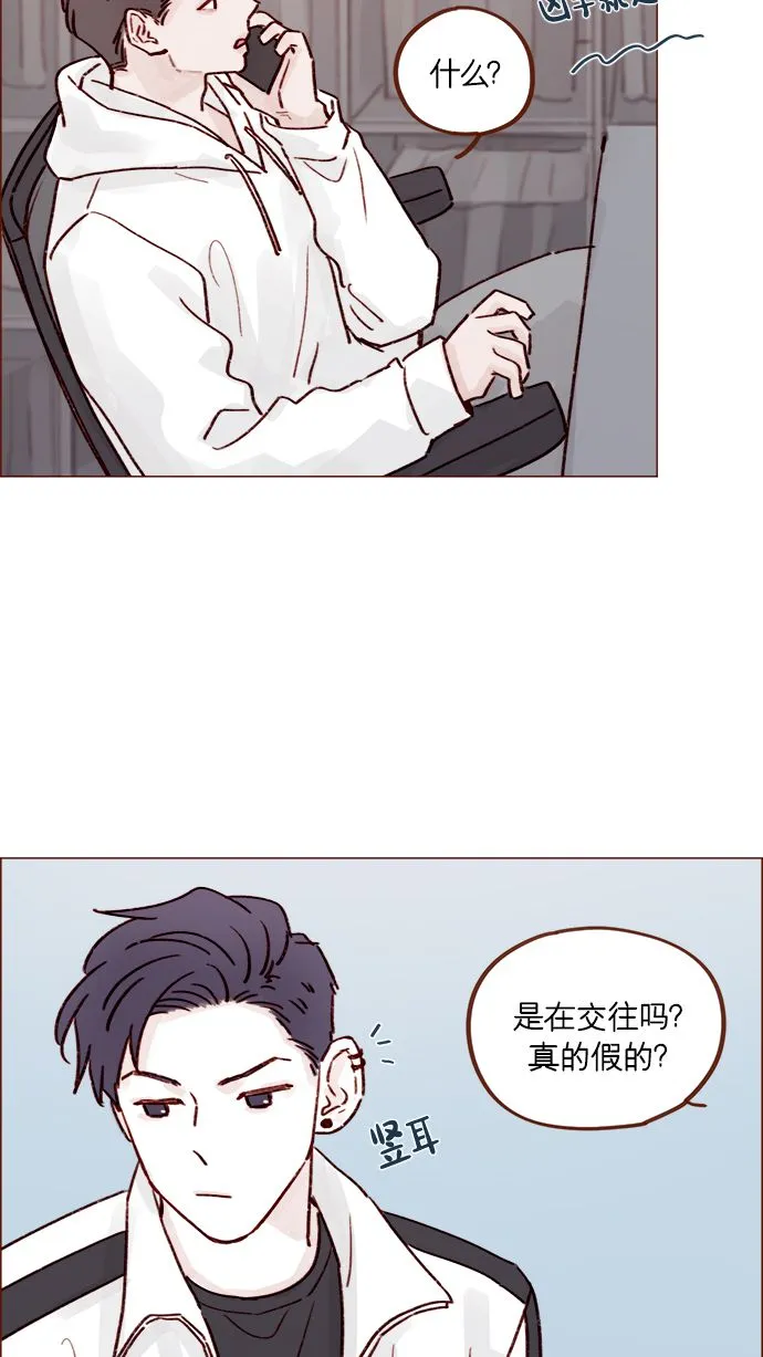 [第219话] 最喜欢别人骂彗星了 第38页