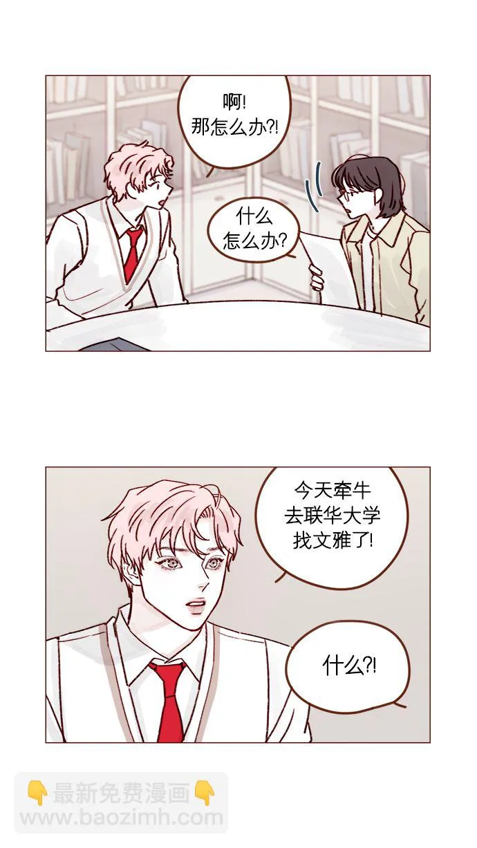 [第215话] 现在这是重点吗？ 第14页