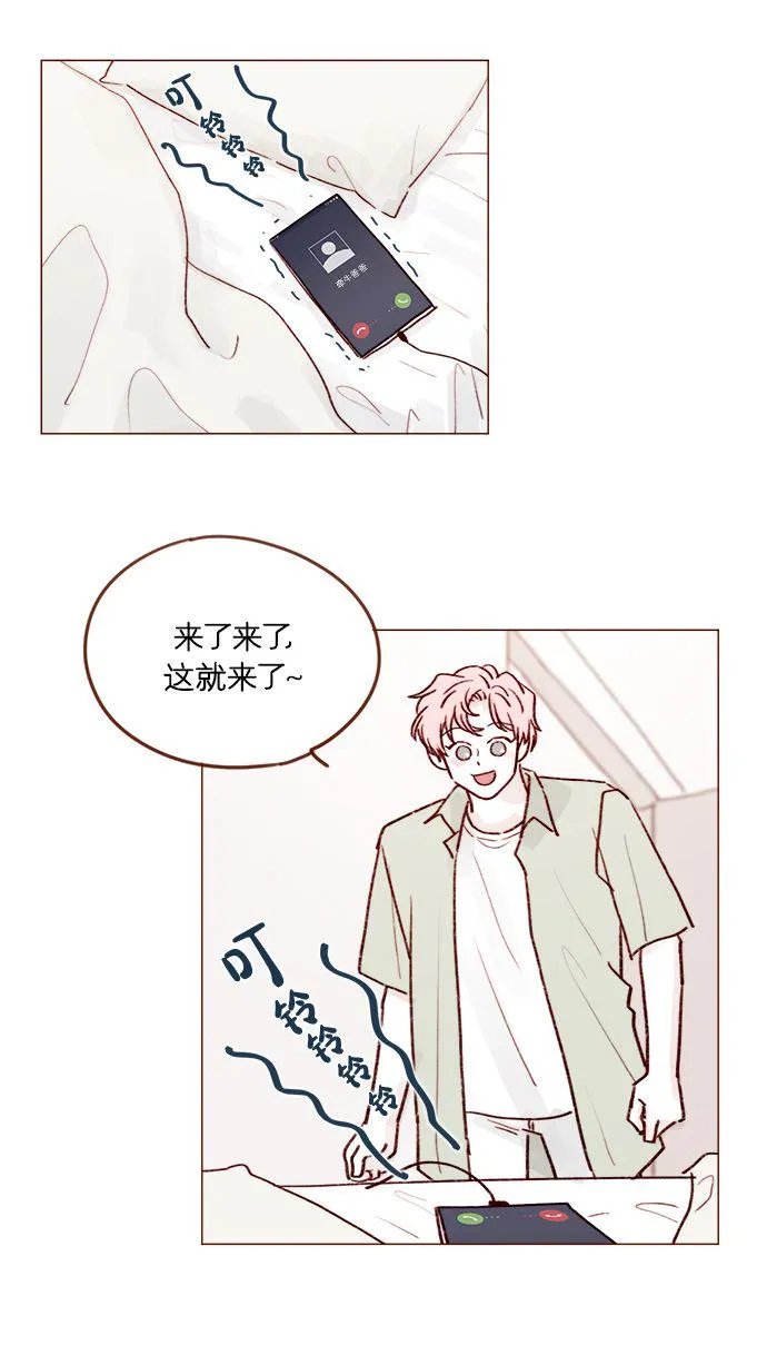 [第206话] 太喜欢柿子了嘛 第20页