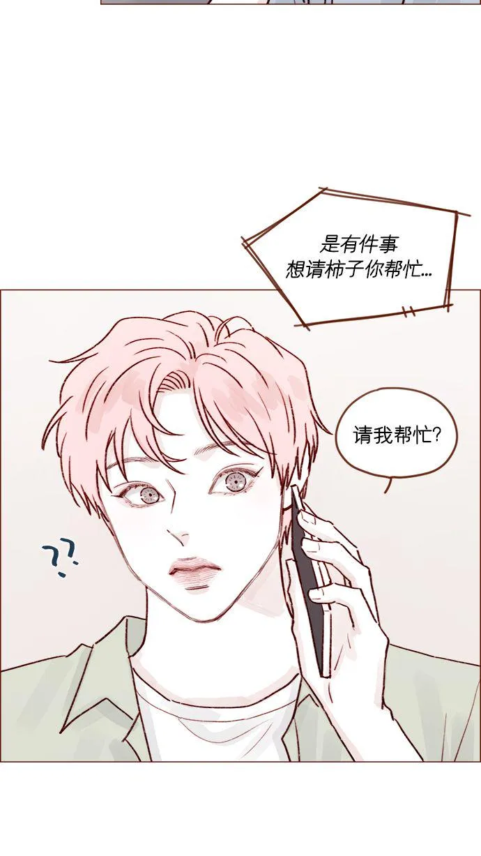 [第206话] 太喜欢柿子了嘛 第24页