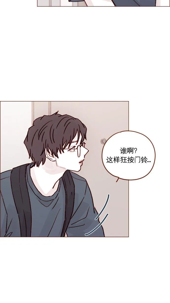 [第206话] 太喜欢柿子了嘛 第33页