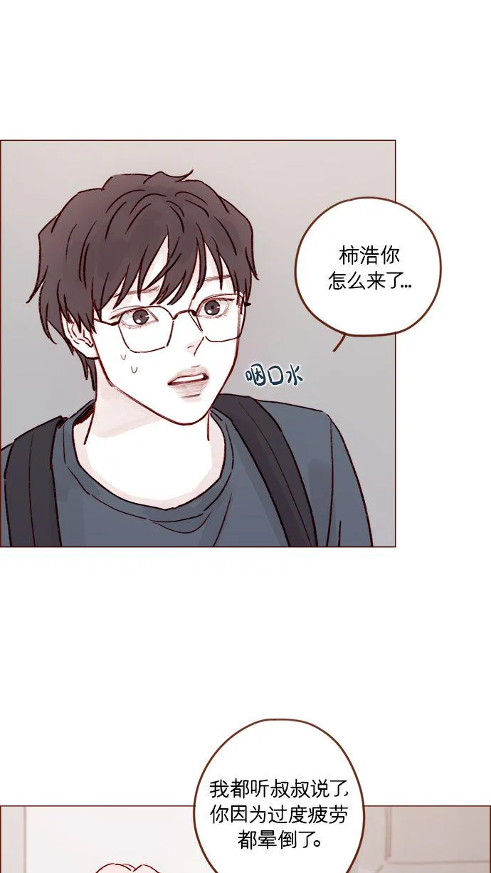 [第206话] 太喜欢柿子了嘛 第36页