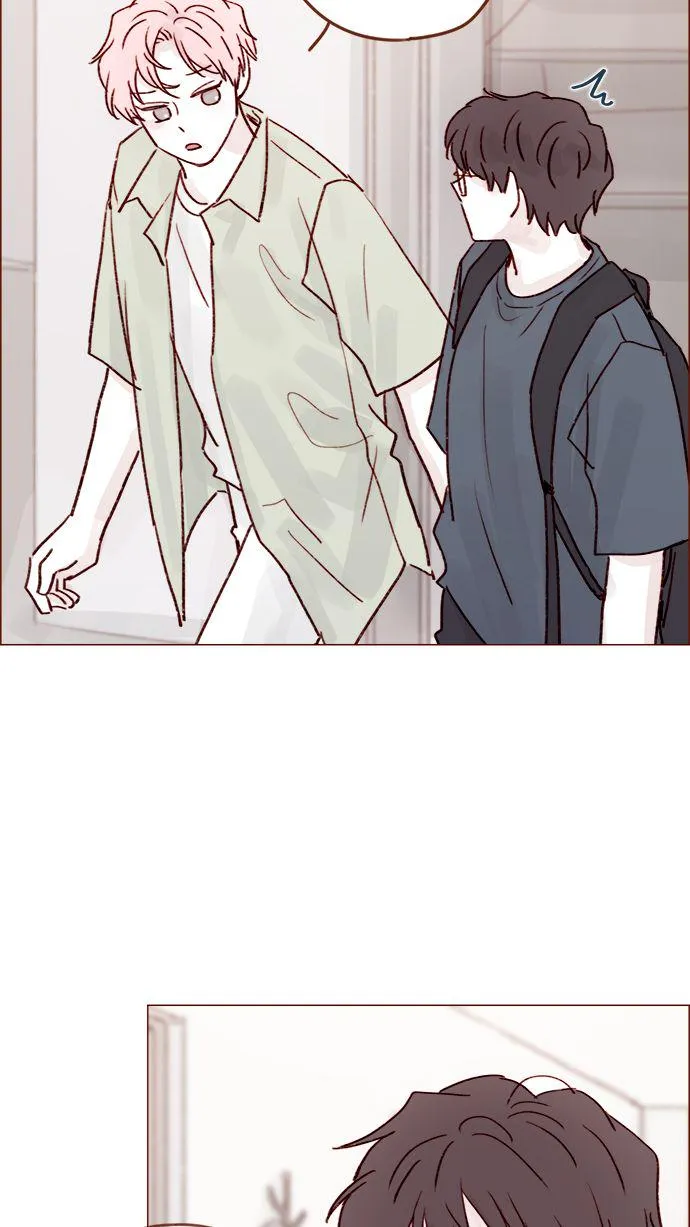 [第206话] 太喜欢柿子了嘛 第37页