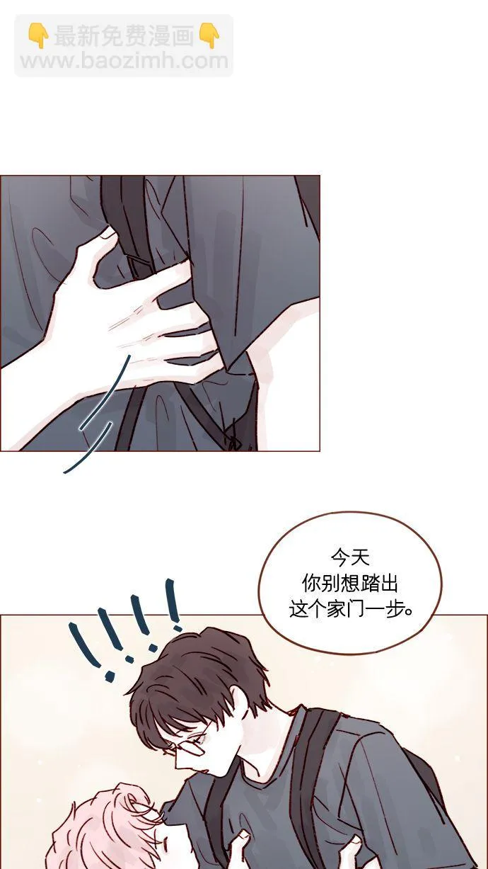 [第206话] 太喜欢柿子了嘛 第41页