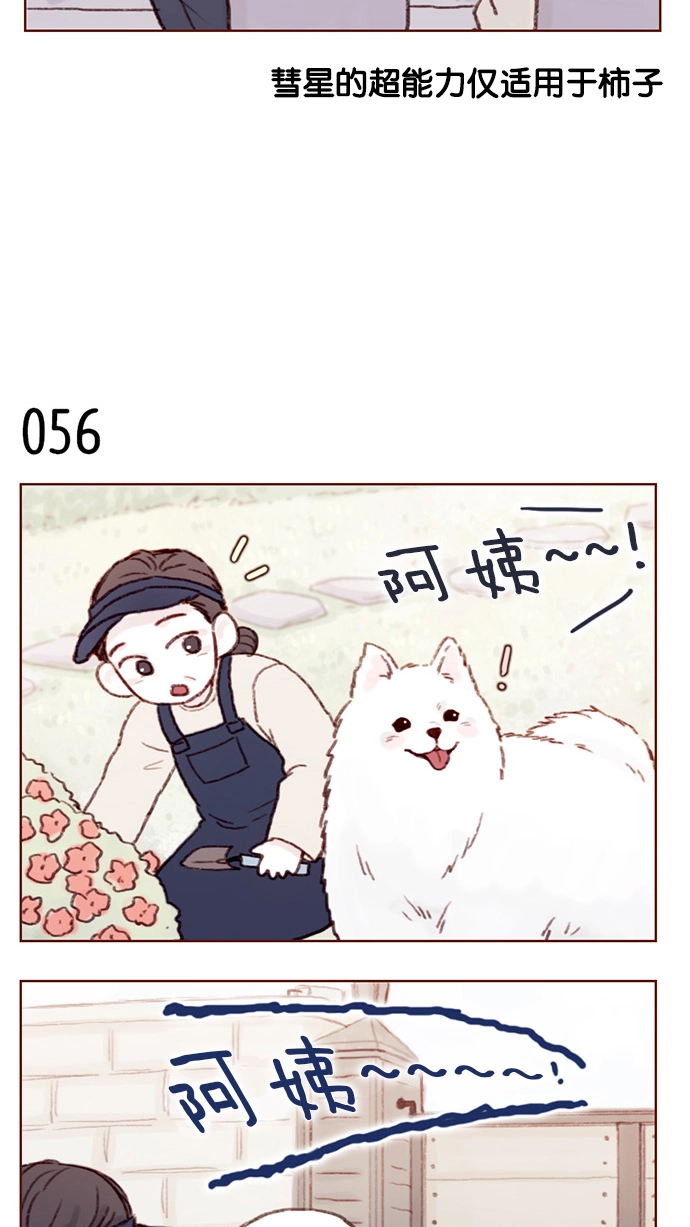 [第7话] 这是为你准备的！ 第13页