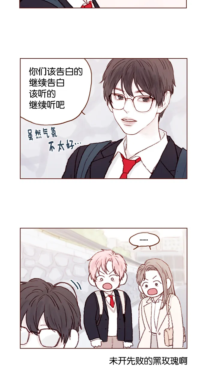 [第18话] 像黑玫瑰一样高贵的存在！ 第17页