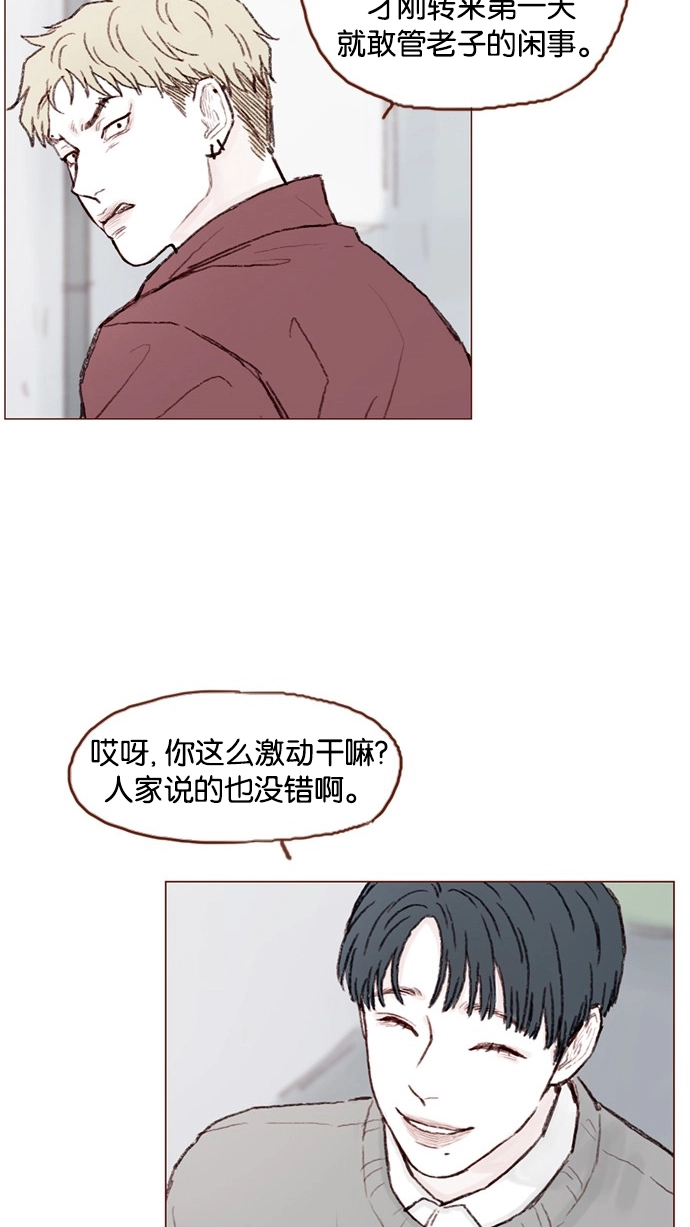 [第54话] 我觉得柿浩挺好的 第47页