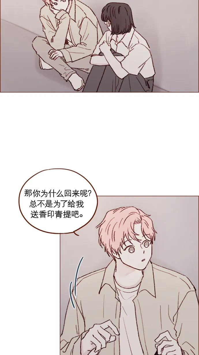 [第152话] 以后我只会看向未来 第24页