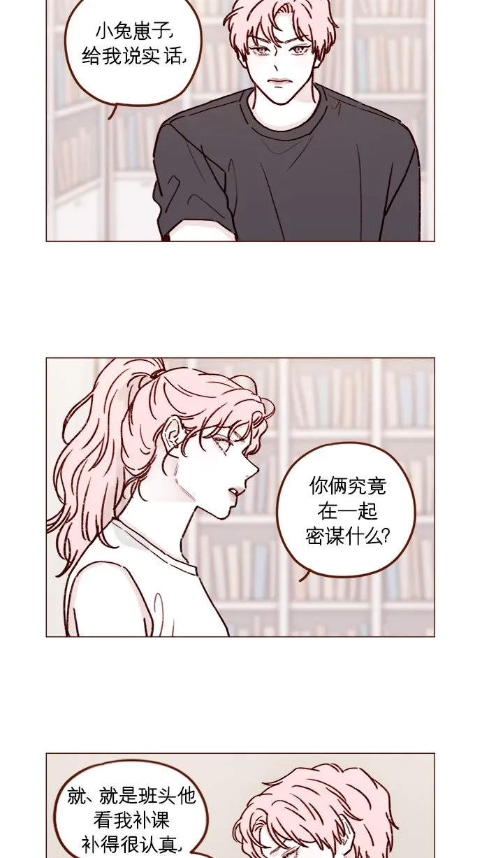 [第194话] 那个可爱又可恨的安索尼？！ 第2页
