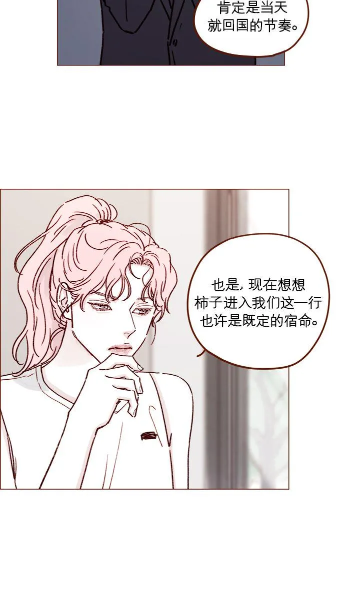 [第194话] 那个可爱又可恨的安索尼？！ 第33页