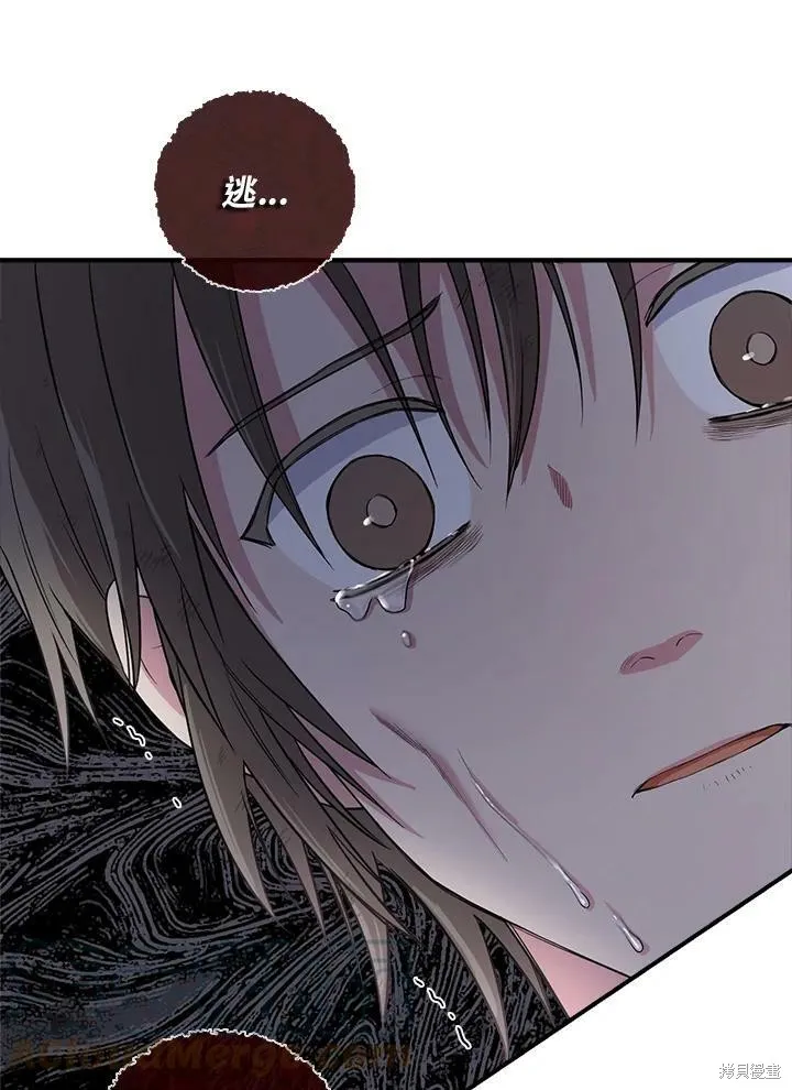 第65话 第17页