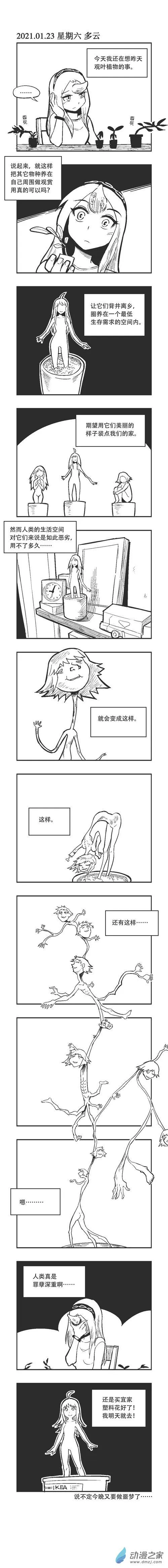 0018 观叶植物2 第1页