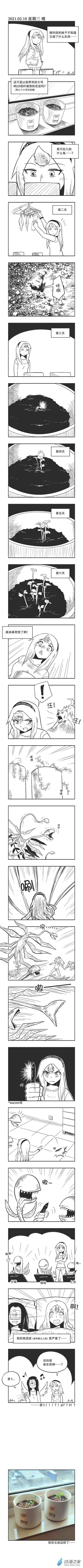 0036 盆栽 第1页