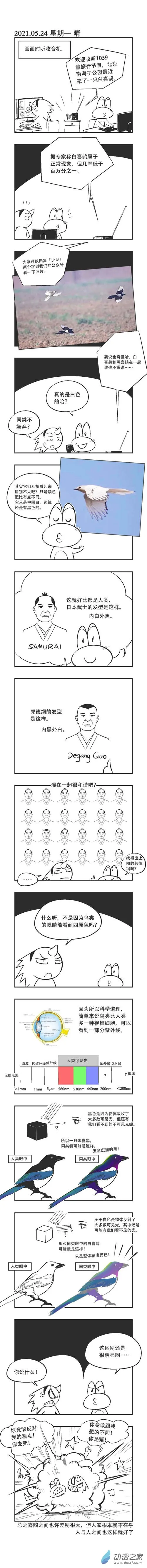 0071 白喜鹊 第1页