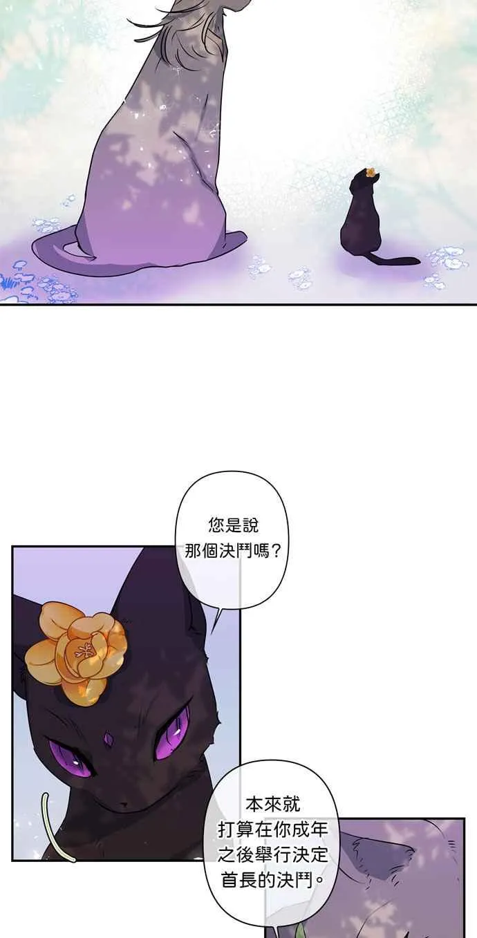 第17话 第12页