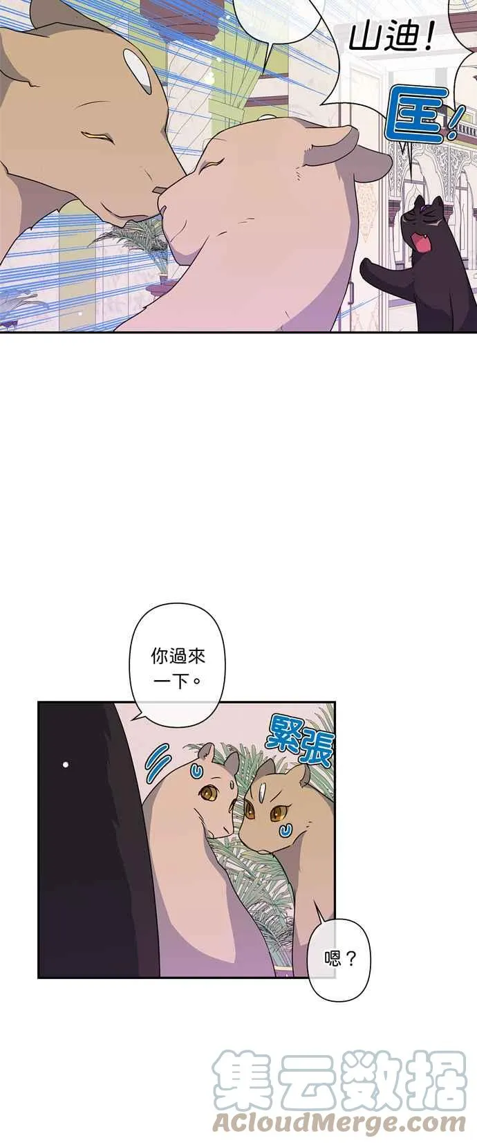 第37话 第11页