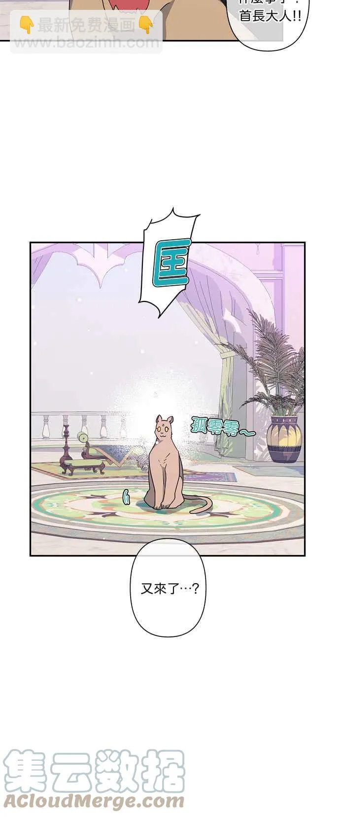 第37话 第13页