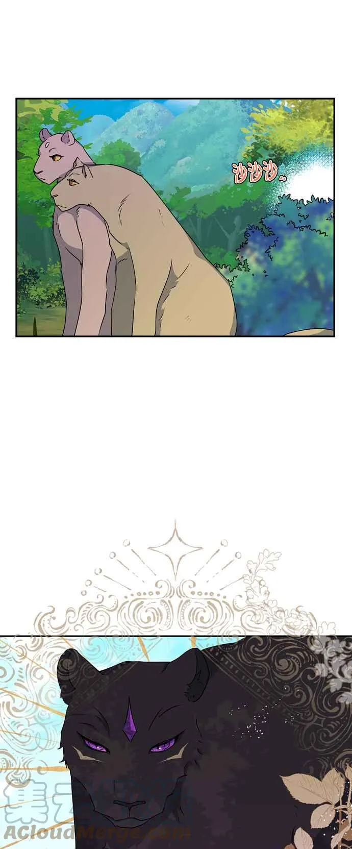第40话 第17页