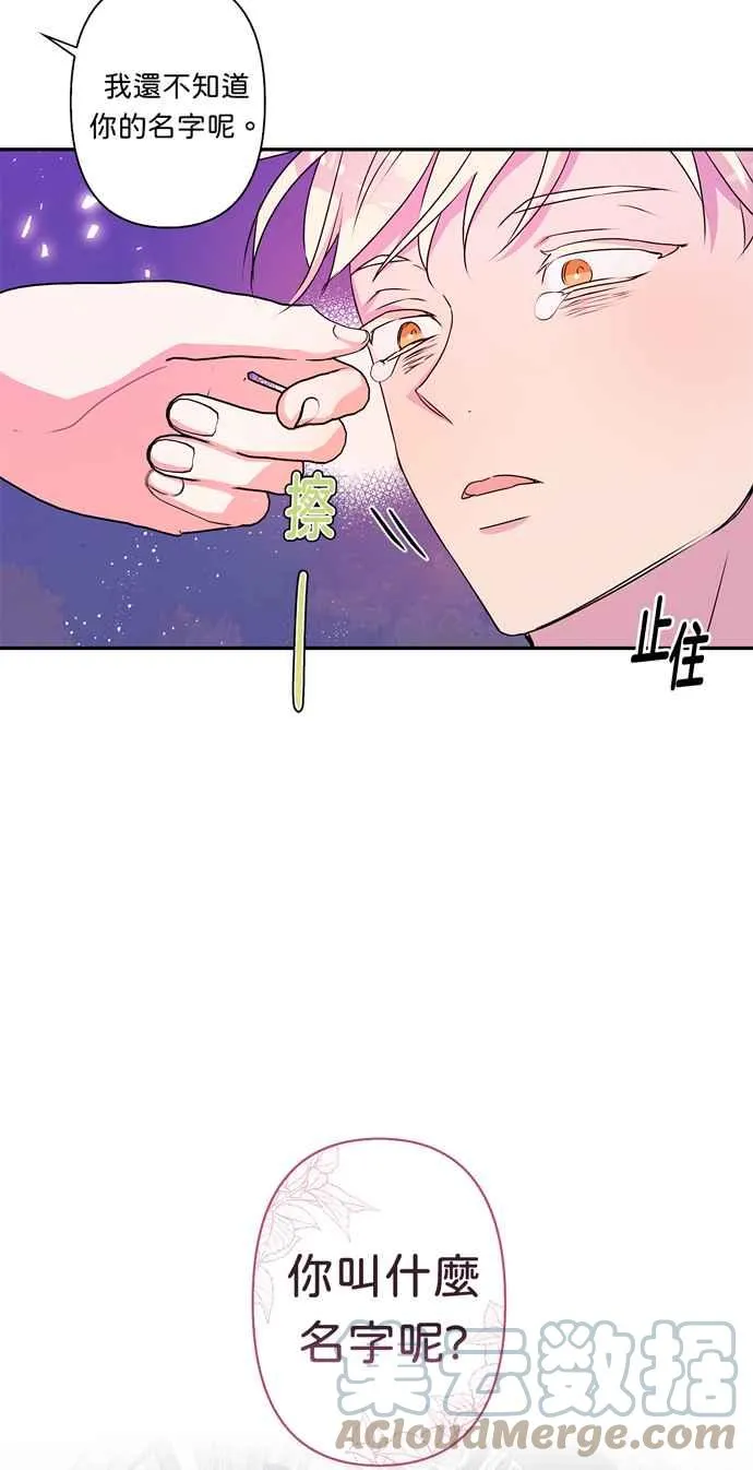 第41话 第46页