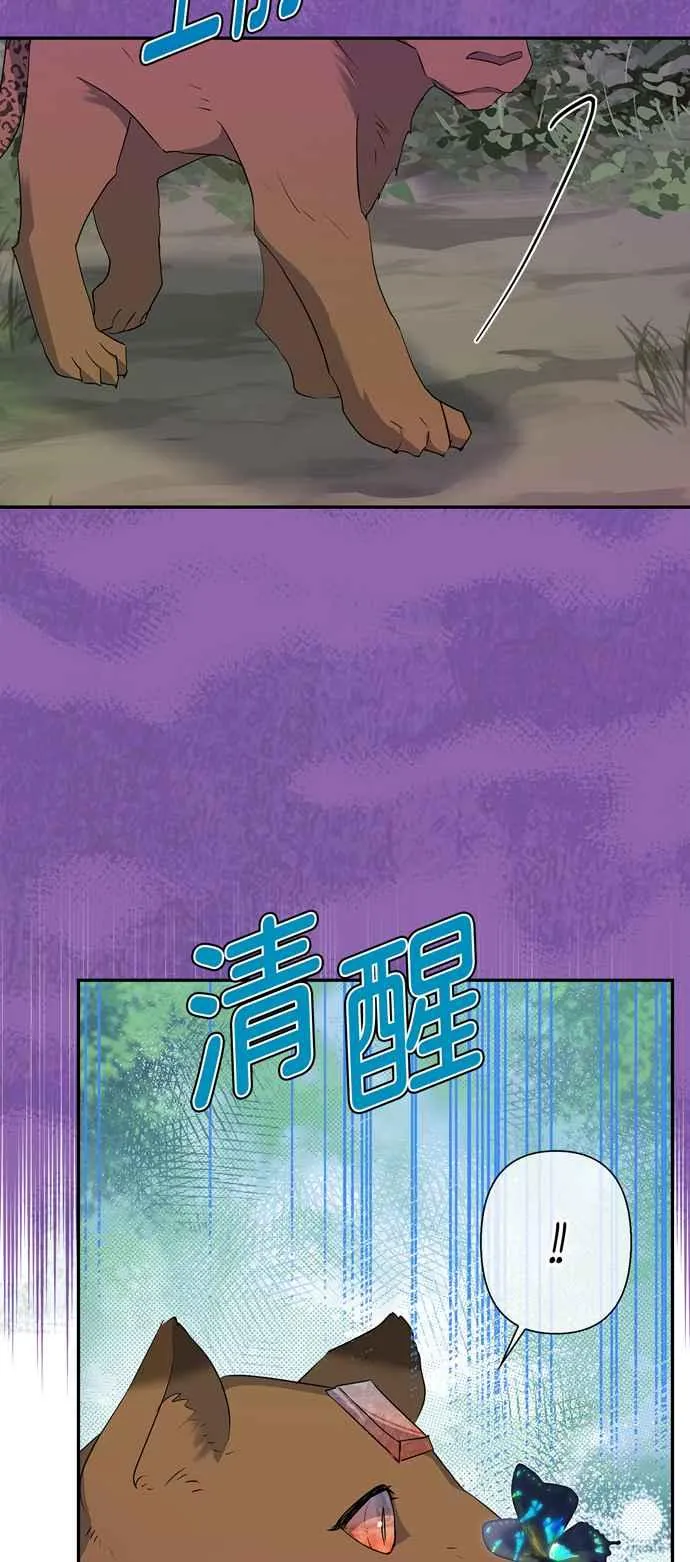 第59话 第38页
