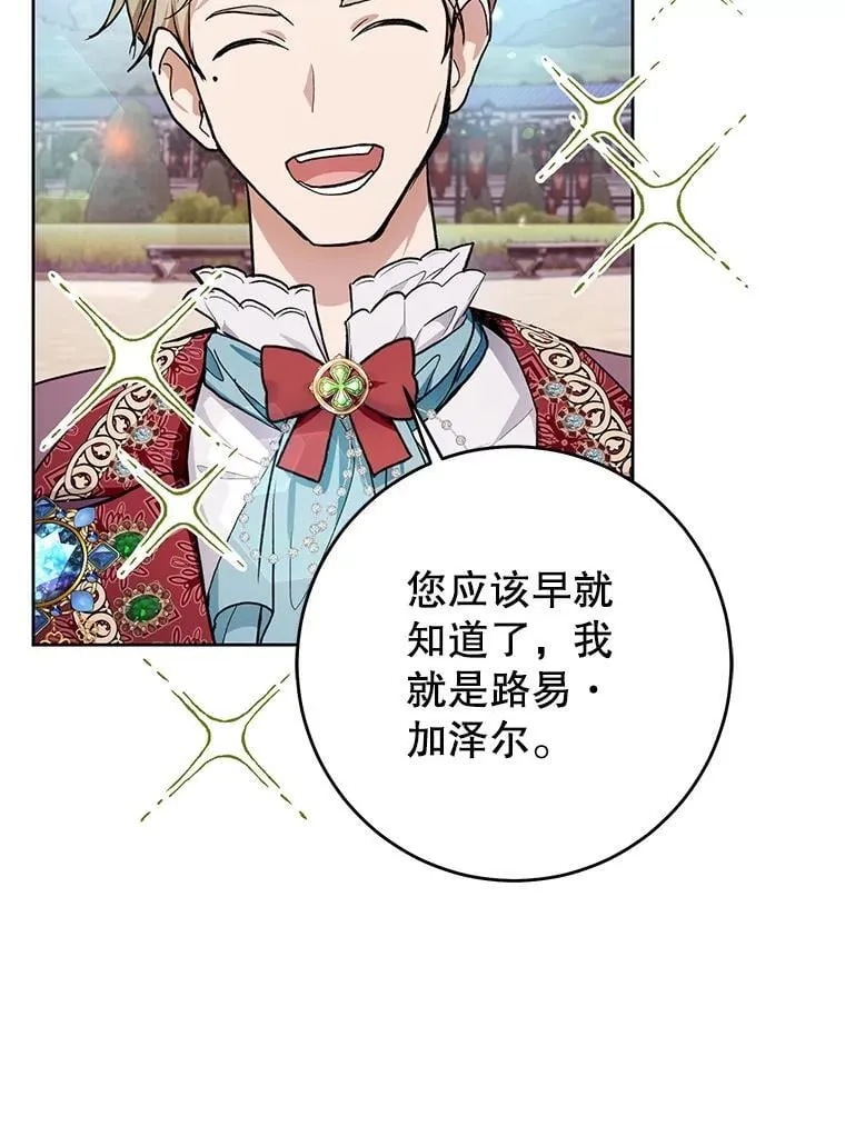 33.解决加泽尔 第15页