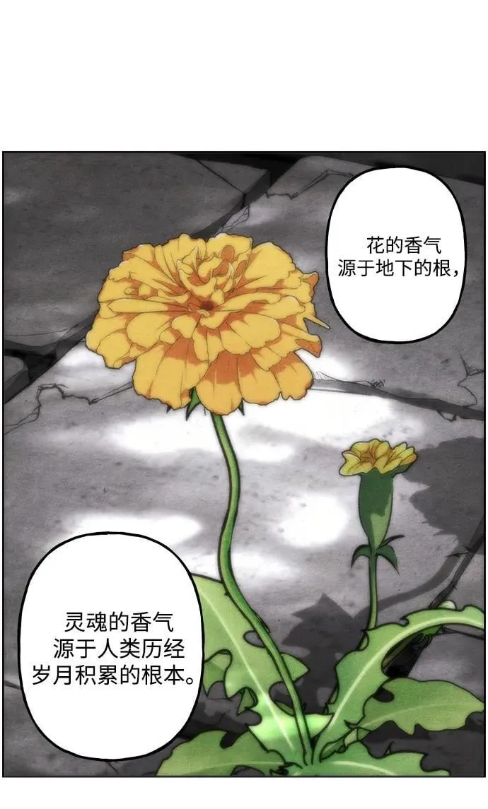 [第215] 烛火（7） 第55页