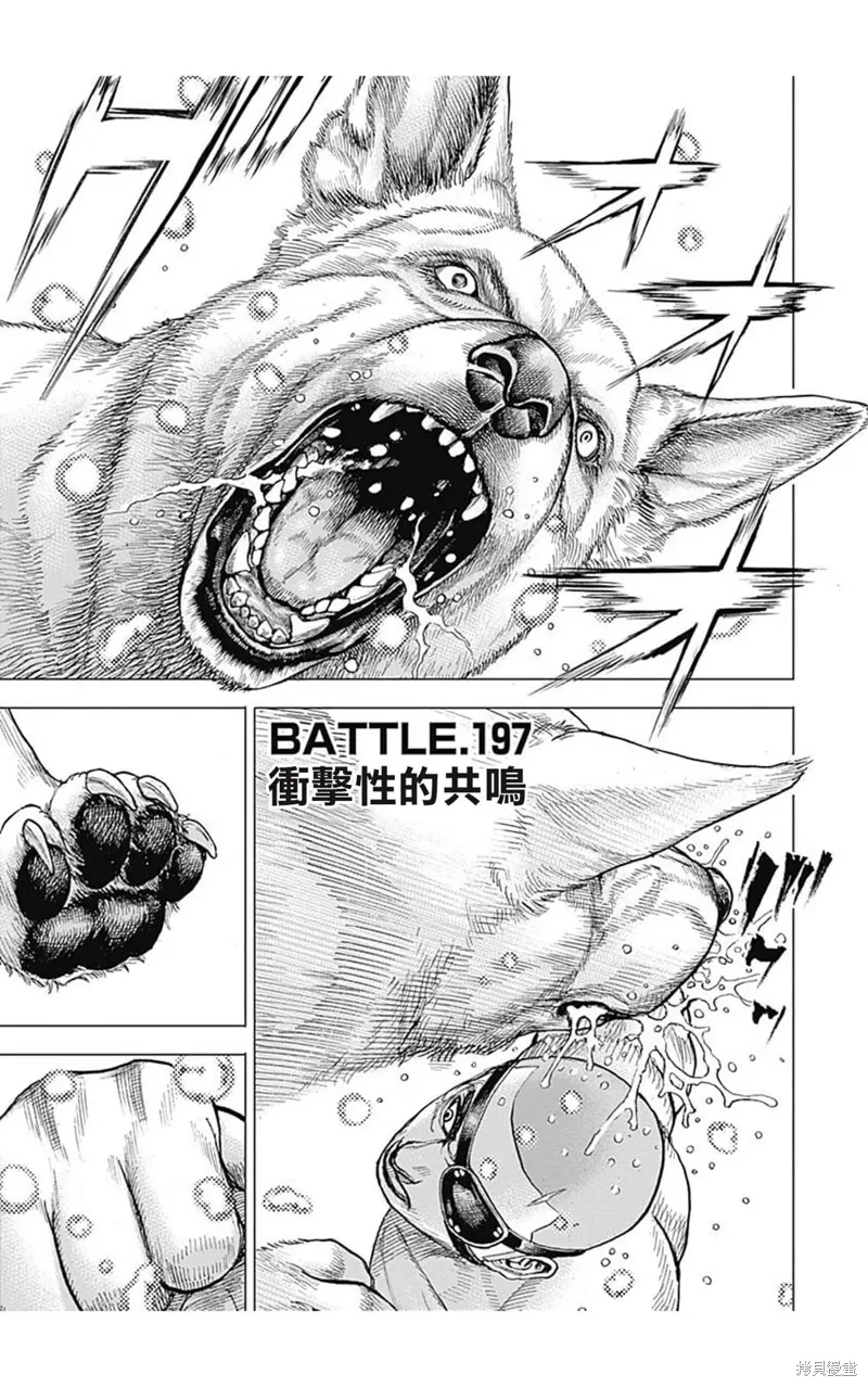 第197话 第5页