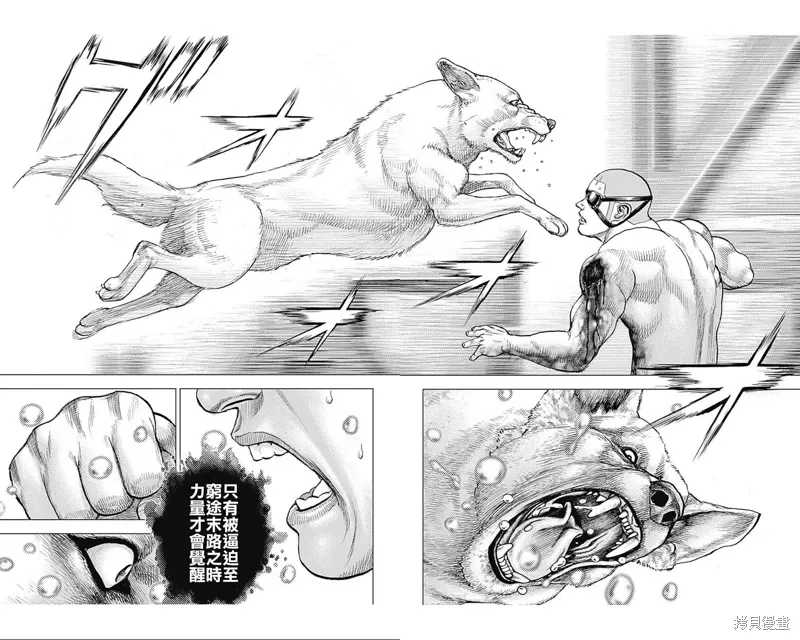 第196话 第13页