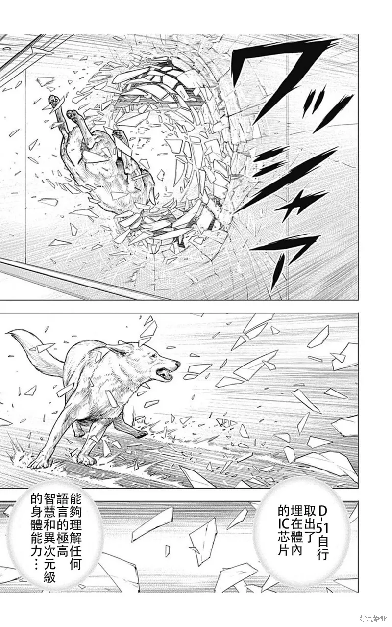 第195话 第11页