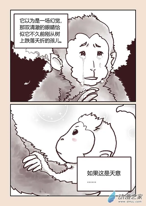 序 第6页