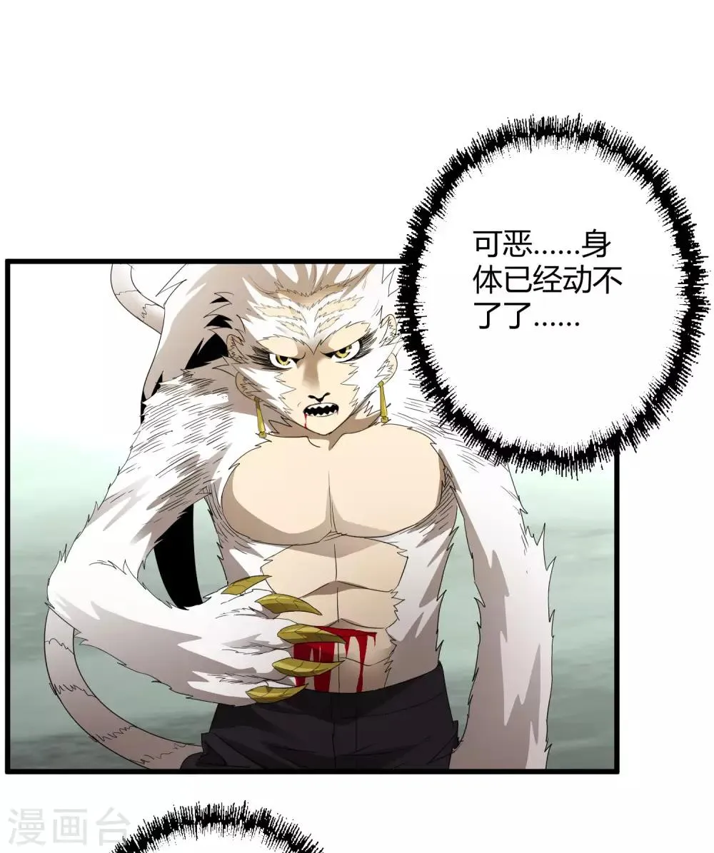第163话 被操控的夏如风 第19页