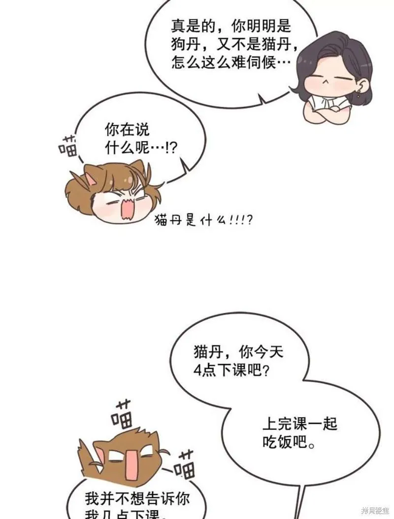 第138话 第22页