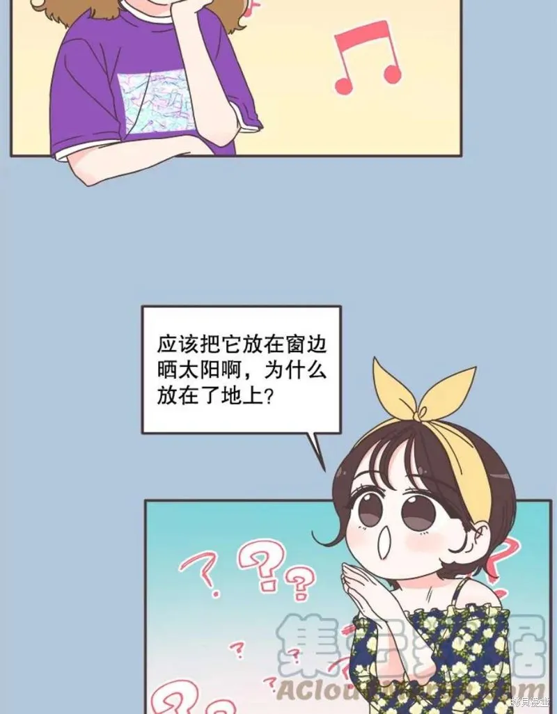 第160话 第37页