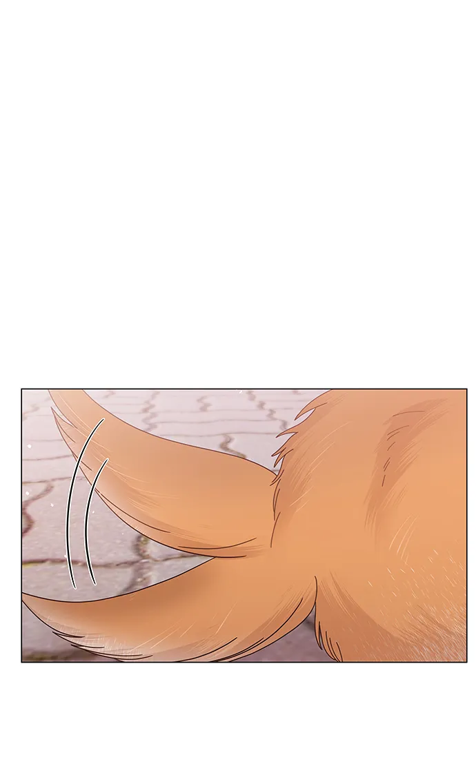 第67话 第13页
