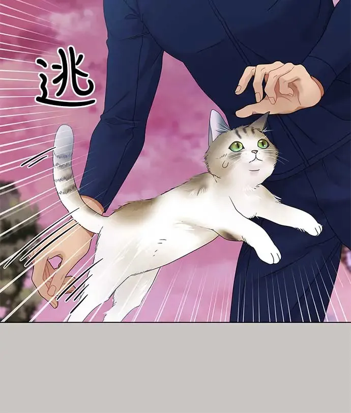 第98话 第29页