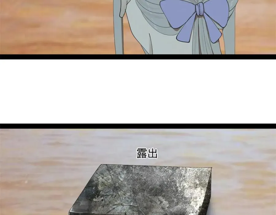 114 隔海计划 第62页