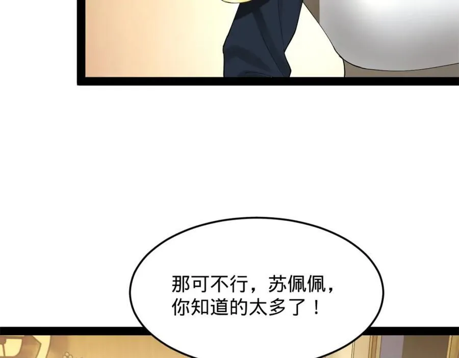 168 苏氏密信 第75页
