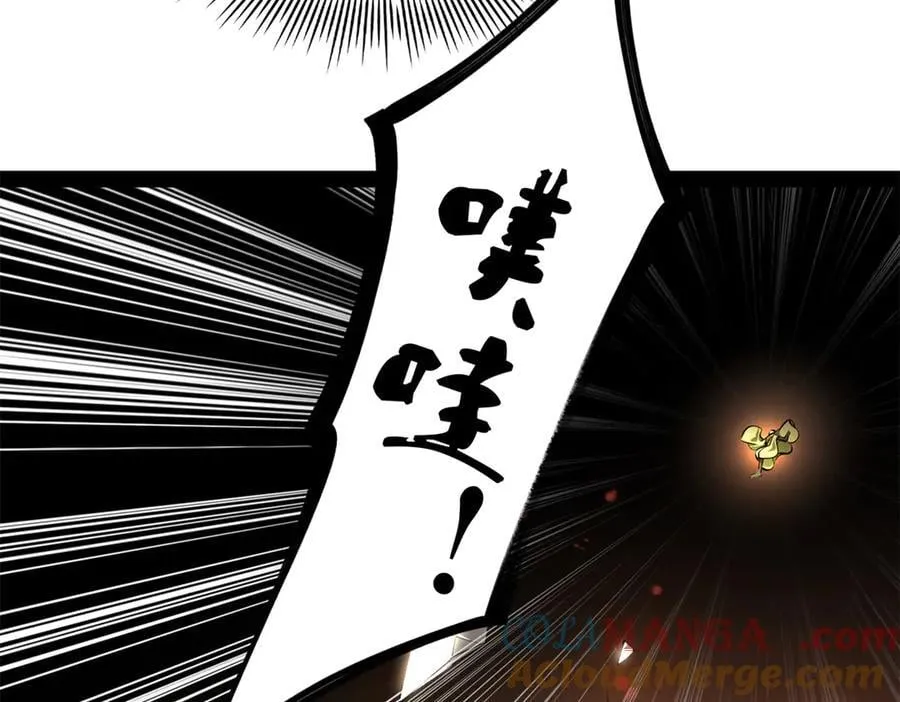 269 再次分兵！ 第33页