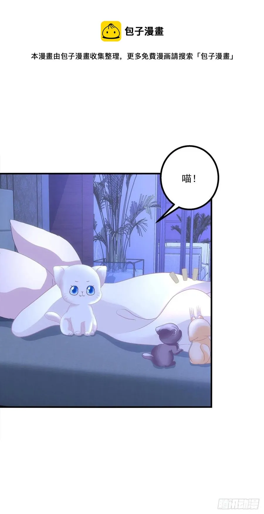 猫儿下了个蛋！ 第8页