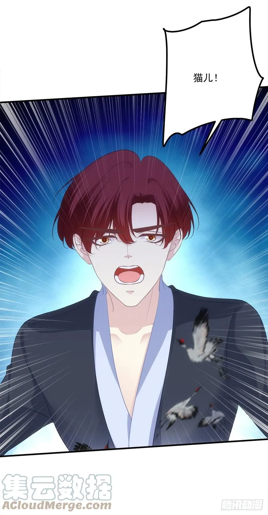 猫儿！危！ 第7页