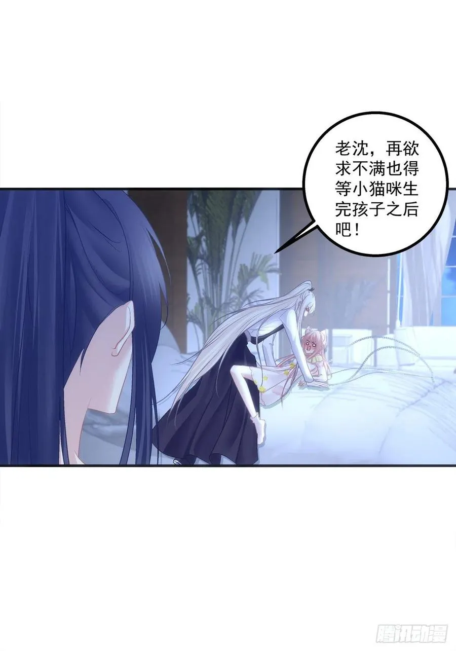 胖橘归来！ 第5页