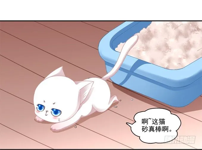 你是我的猫 第2页
