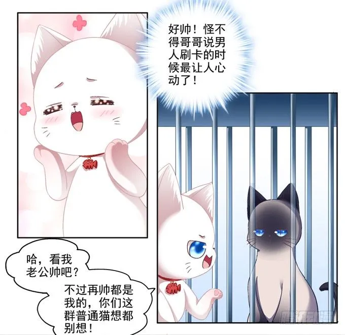 你是我的猫 第5页