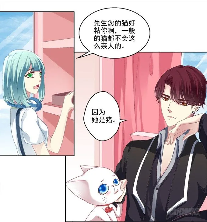你是我的猫 第7页