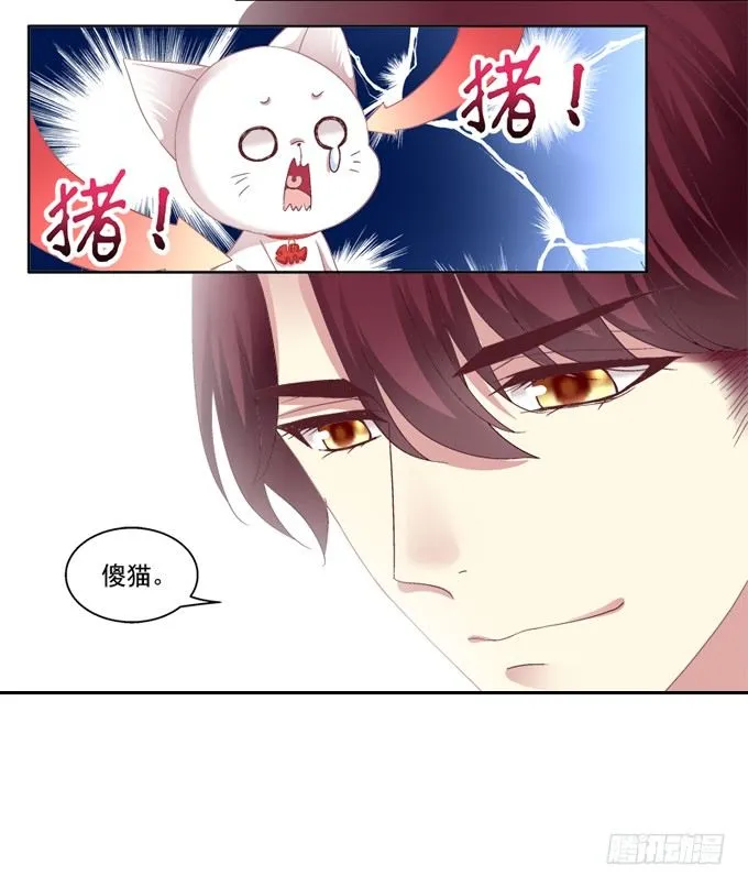 你是我的猫 第8页