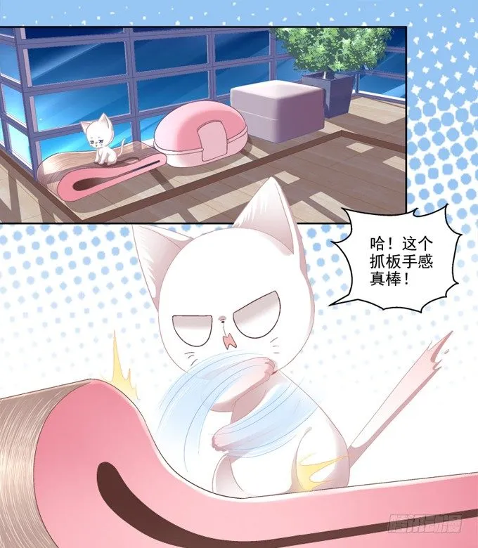 你是我的猫 第10页