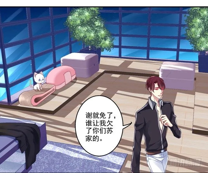 你是我的猫 第13页