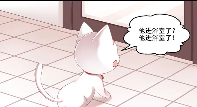 你是我的猫 第14页