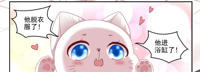 你是我的猫 第15页